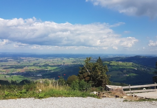 Steyr